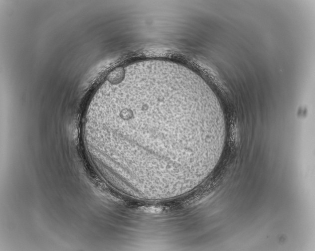 X0000093580687200711051118