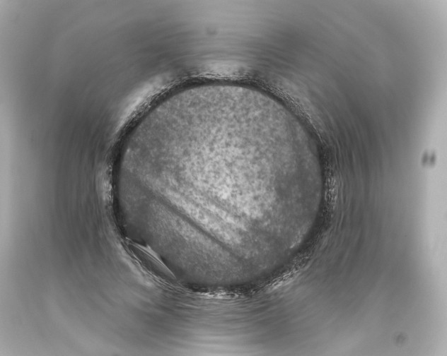 X0000093580688200711051118