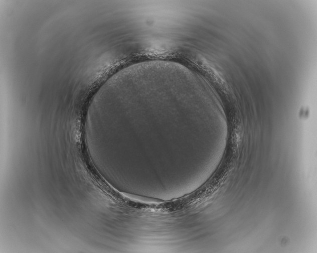 X0000093580689200711051118