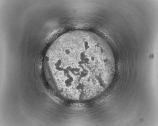 X0000093580691200711051118