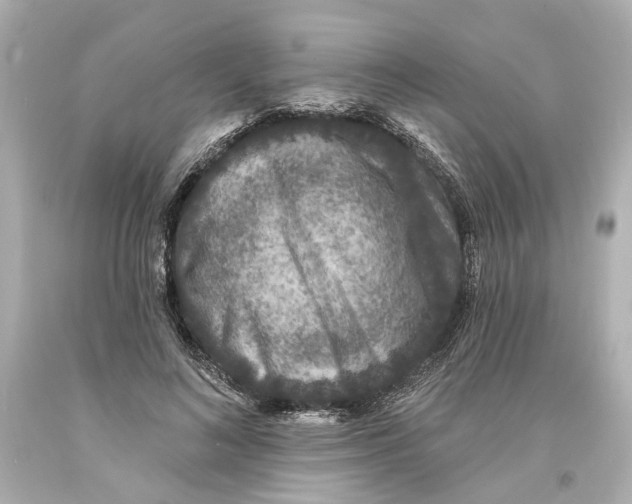 X0000093580692200711051118