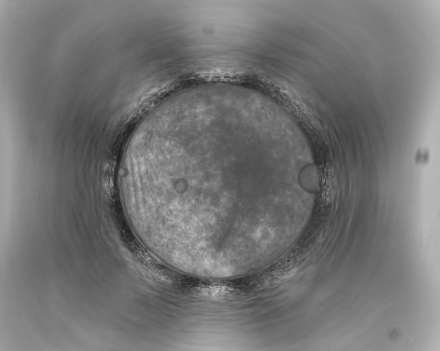 X0000093580695200711051118