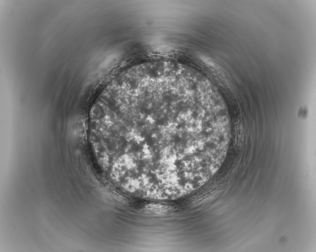 X0000093580699200711051118