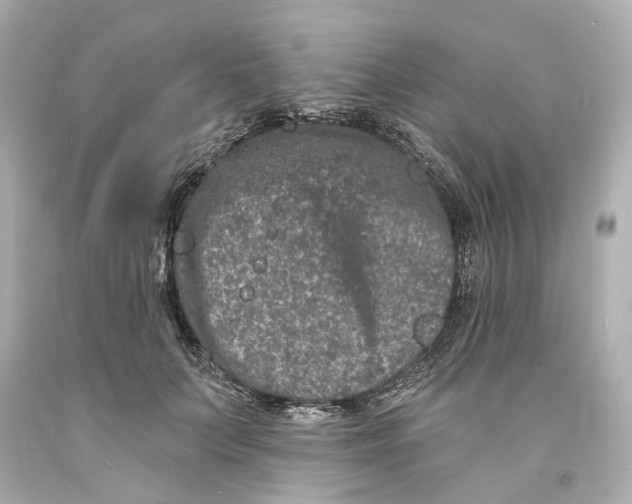 X0000093580703200711051118