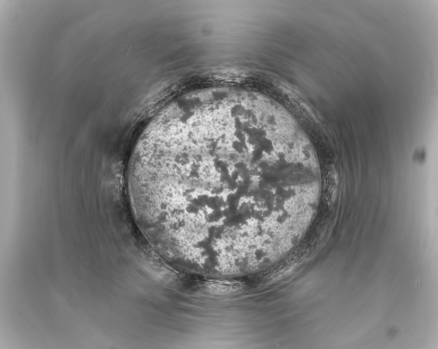 X0000093580707200711051118