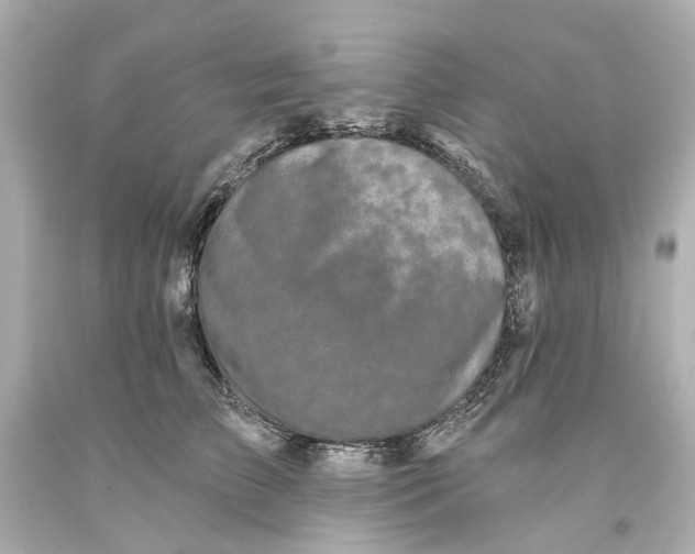 X0000093580709200711051118