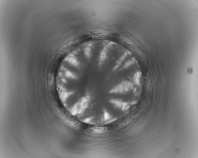 X0000093580711200711051118