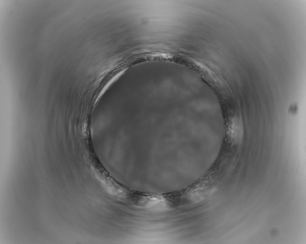 X0000093580715200711051118