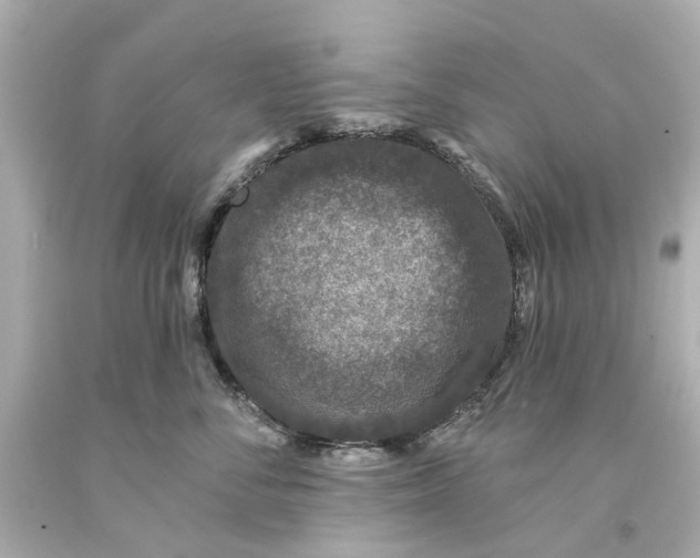 X0000093580716200711051118