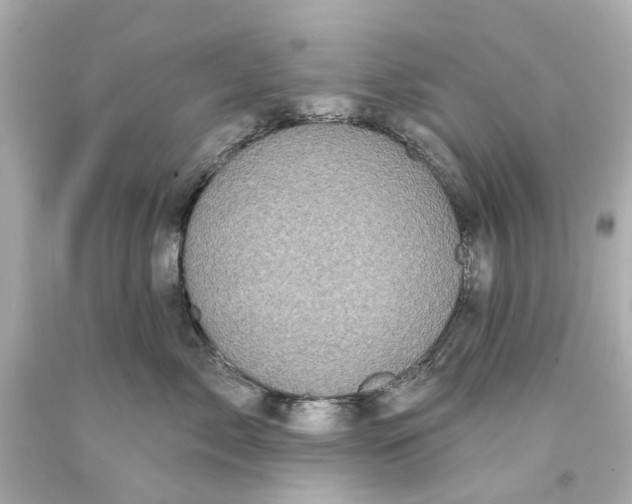 X0000093580717200711051118