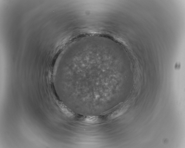 X0000093580720200711051118