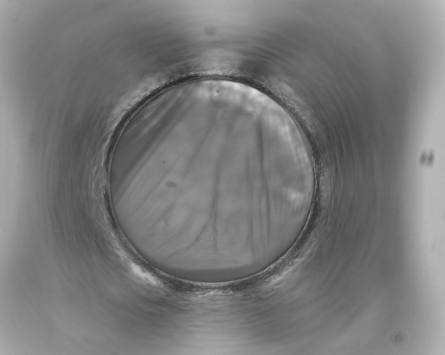 X0000093580721200711051117