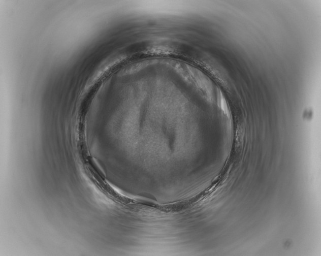 X0000093580722200711051117