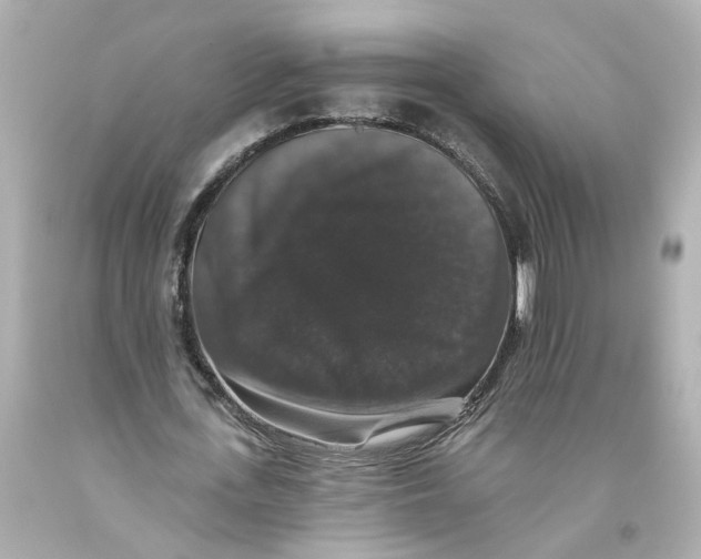 X0000093580723200711051117