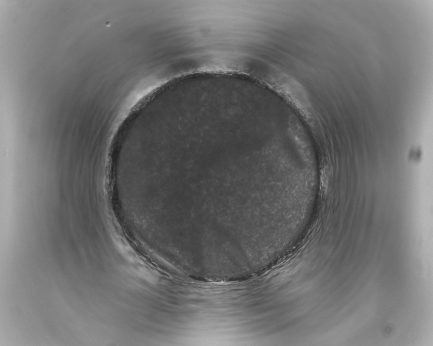 X0000093580724200711051117