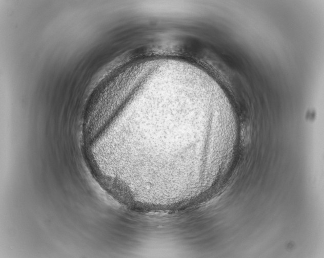 X0000093580725200711051117