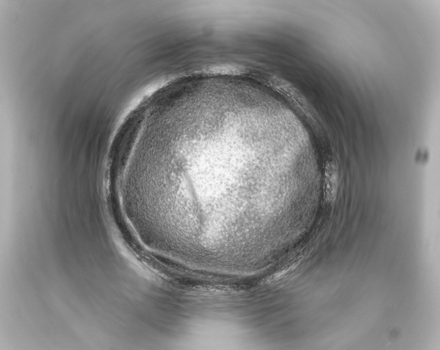 X0000093580726200711051117