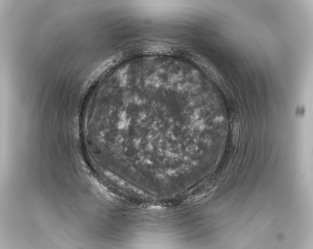 X0000093580729200711051117