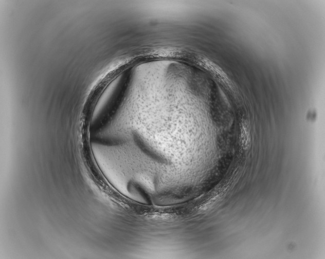 X0000093580730200711051117