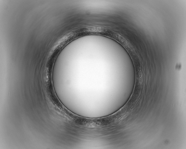 X0000093580731200711051117