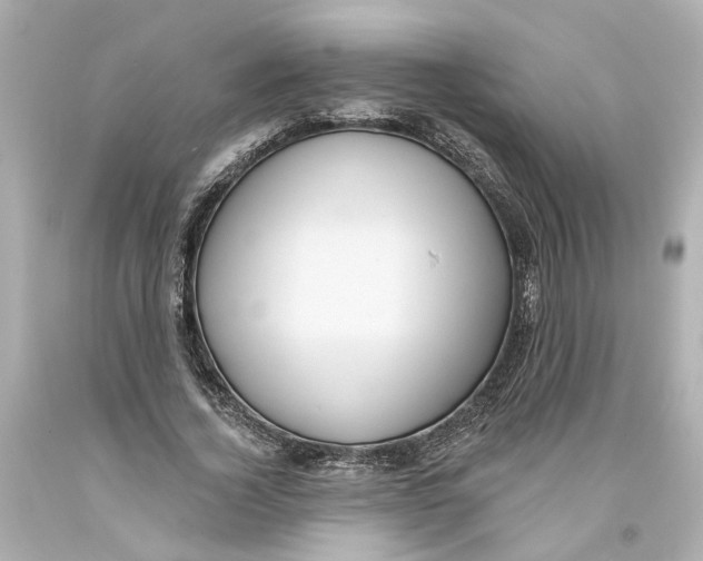 X0000093580732200711051117