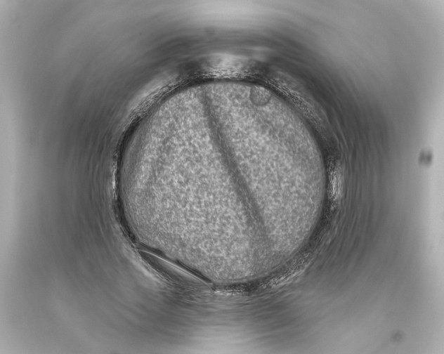 X0000093580733200711051117