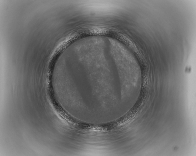 X0000093580736200711051117