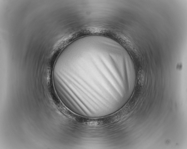 X0000093580740200711051117