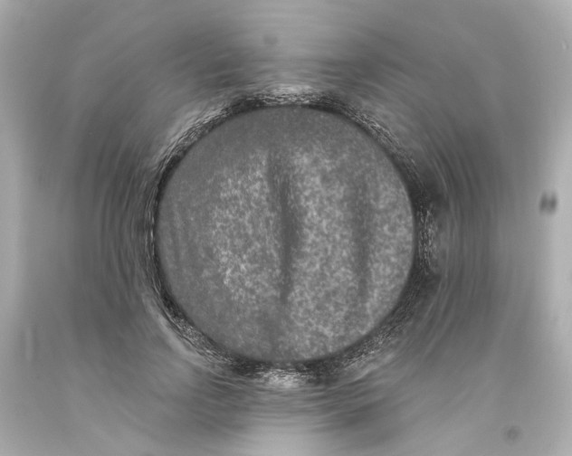 X0000093580742200711051117