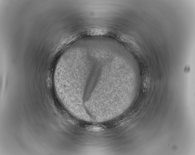 X0000093580743200711051117