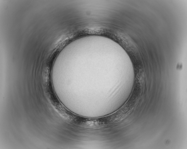 X0000093580744200711051117