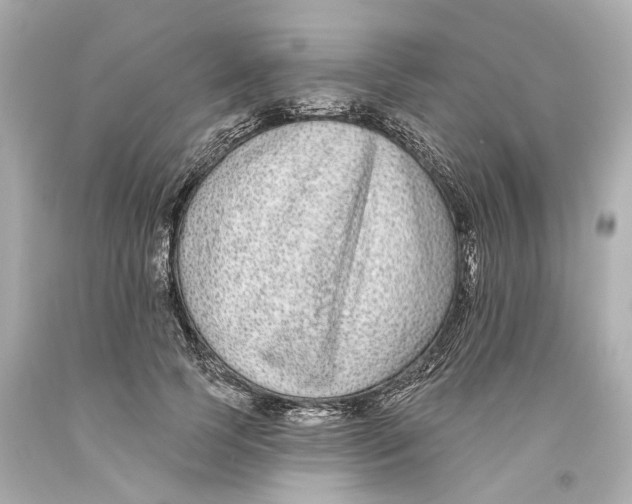 X0000093580745200711051117