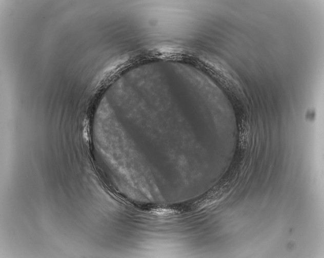 X0000093580748200711051117