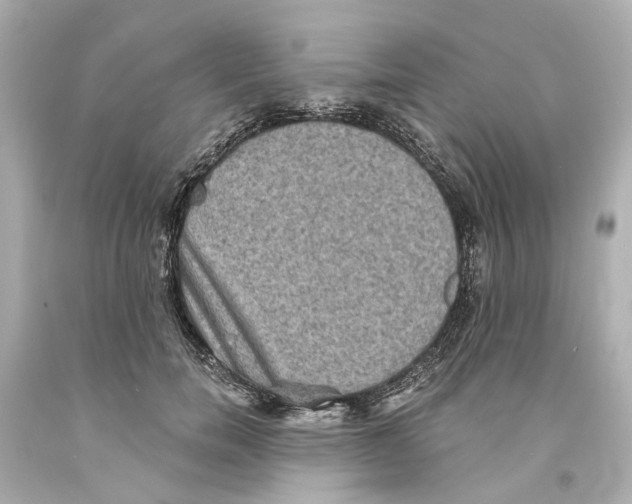 X0000093580750200711051117