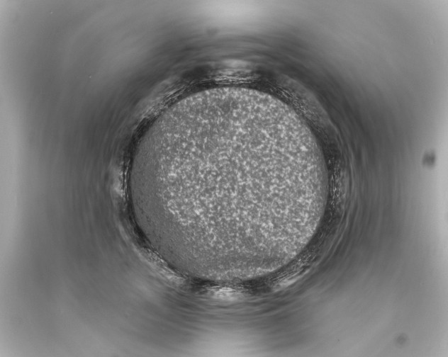 X0000093580755200711051117