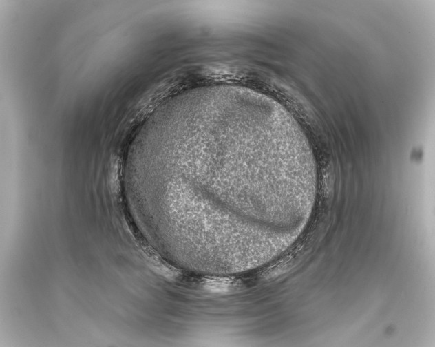 X0000093580757200711051117