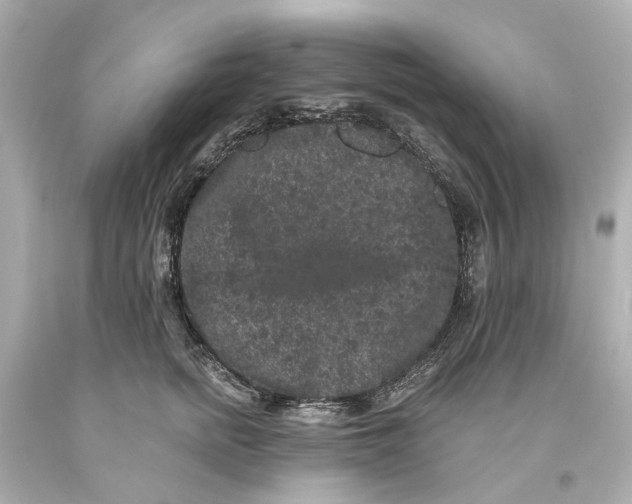 X0000093580758200711051117