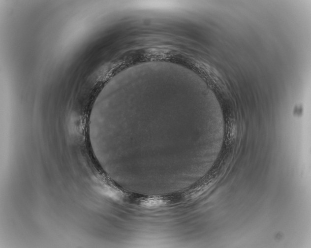 X0000093580759200711051117