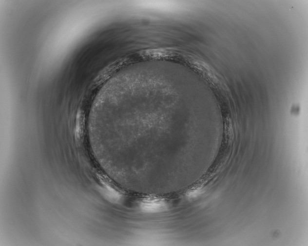 X0000093580760200711051117