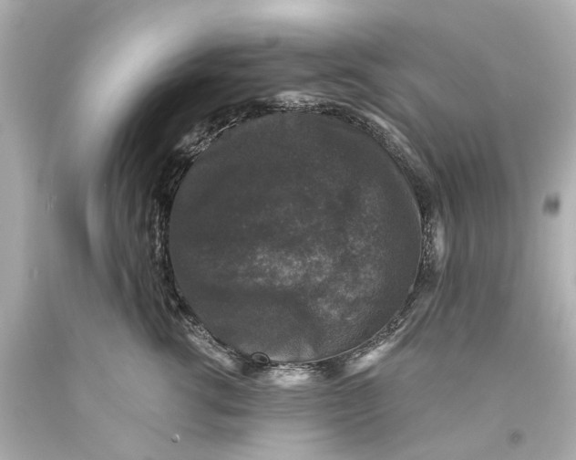 X0000093580762200711051117