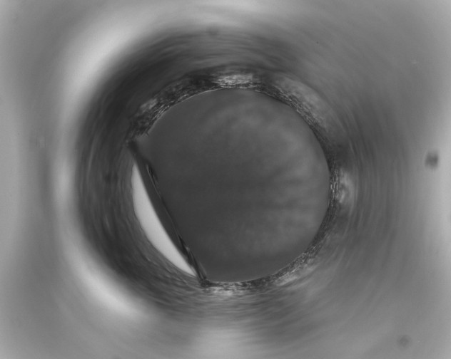 X0000093580763200711051117