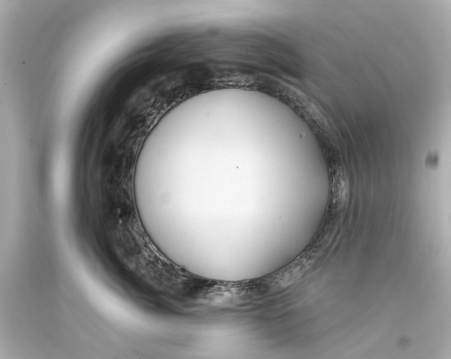 X0000093580764200711051118