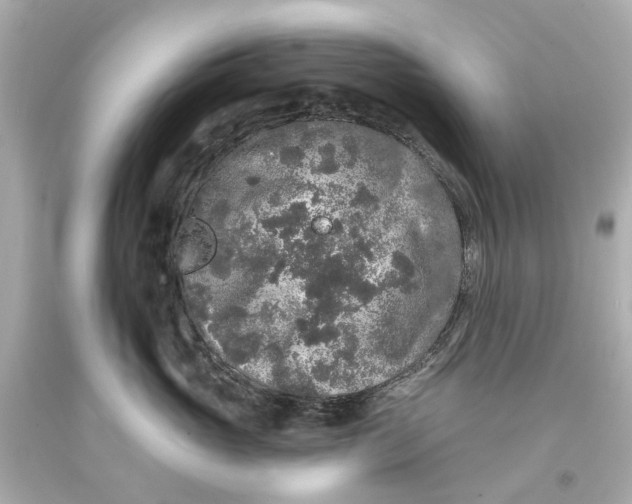 X0000093580765200711051118