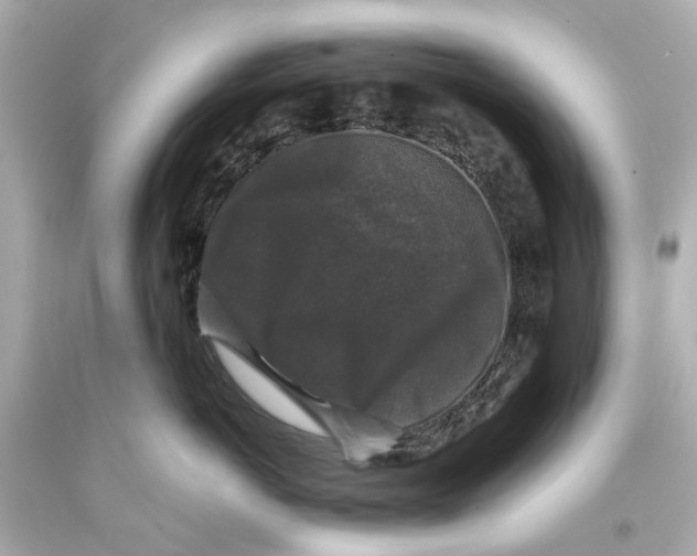 X0000093580766200711051118