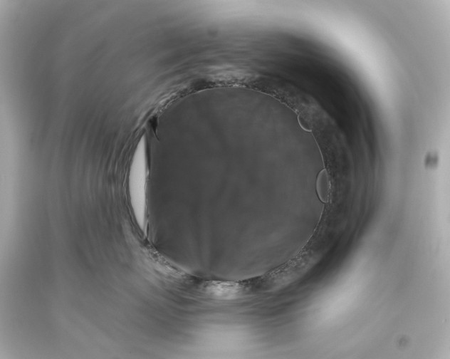 X0000093580767200711051118