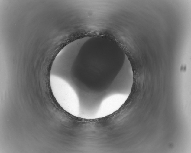 X0000093580769200711051117