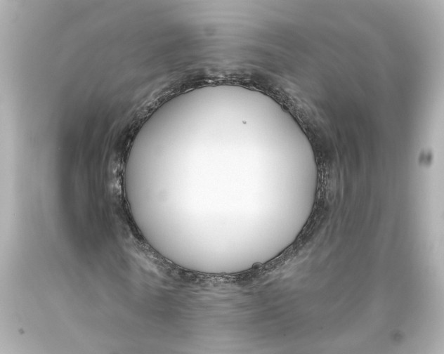 X0000093580770200711051117