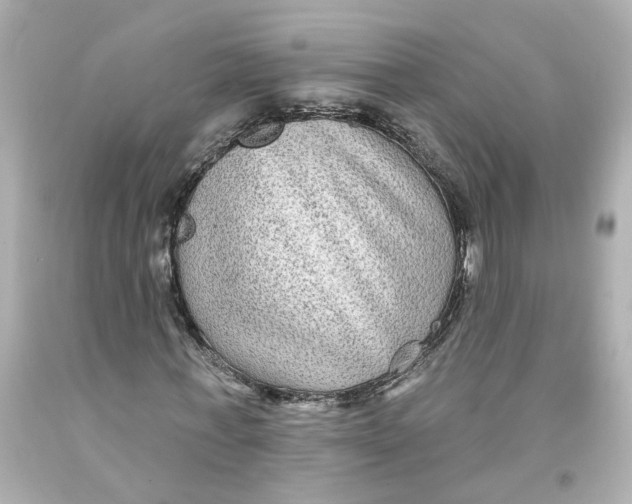 X0000093580771200711051117