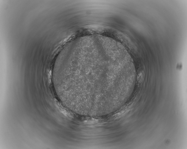 X0000093580772200711051117