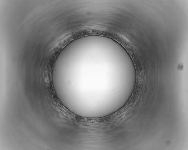 X0000093580774200711051117